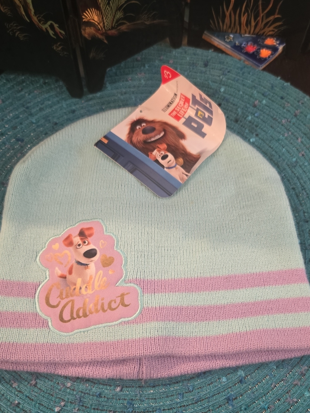The Secret Life of Pets Kids Beanie - Mint & Lavender